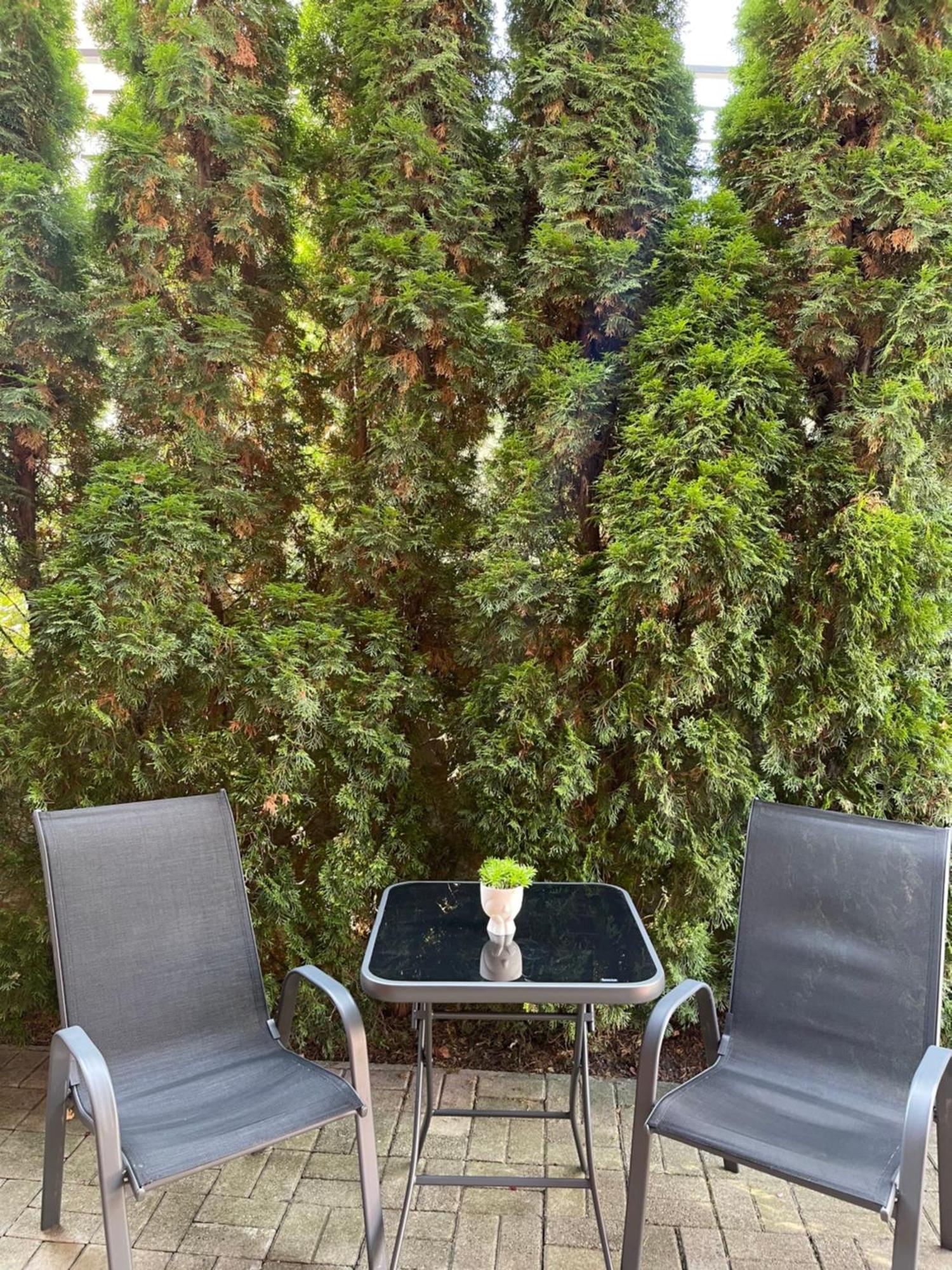 Apartman Gagi Златибор Екстериор снимка